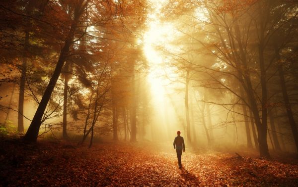 Et si la « marche mentale » était le remède magique contre les insomnies ?