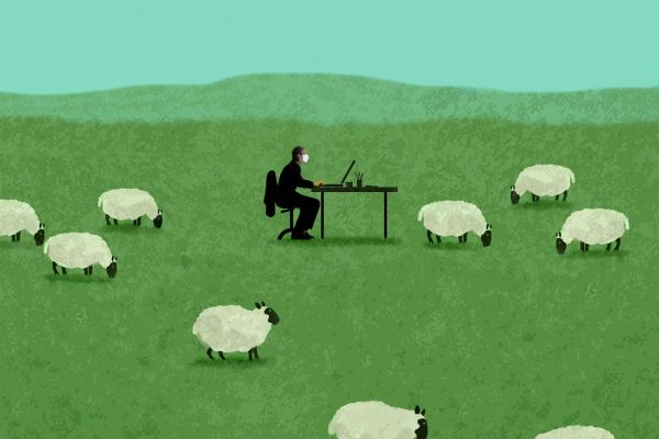 Ruralité : « L'attractivité des territoires passe aussi par des innovations organisationnelles »