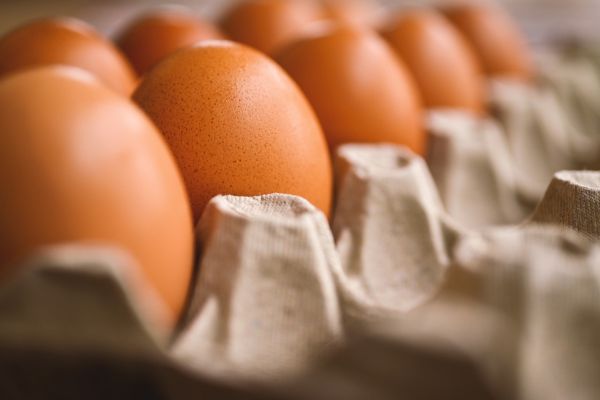 Prix de l'énergie : les producteurs d'œufs en grève pour demander la hausse des prix de leurs produits
