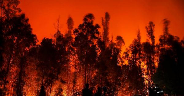 Chili: 24 morts dans des immenses feux de forêt, plus de 1.100 blessés