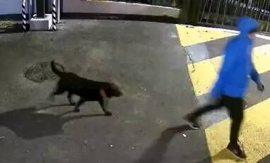 Cadavre flottant dans la Siagne: la piste d'un homme avec son chien étudiée par la gendarmerie