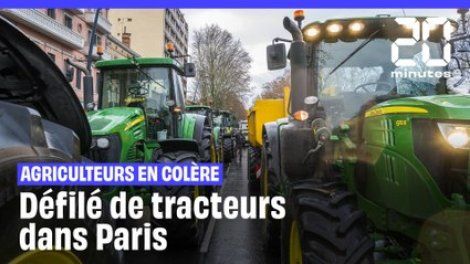 Des agriculteurs manifestent contre les restrictions des pesticides à Paris
