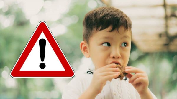 Alerte santé: voici les 7 marques de biscuits les plus dangereuses pour la santé selon 60 millions de consommateurs !