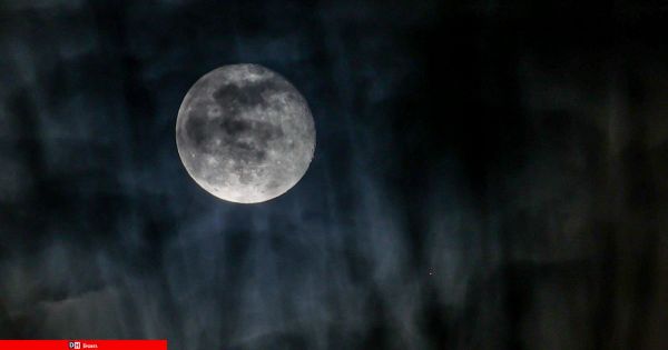 Des astronautes autour de la Lune en novembre 2024, dit la Nasa
