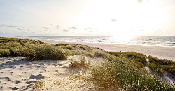 En Scandinavie, le « droit à la nature » permet à chacun de profiter librement des espaces naturels