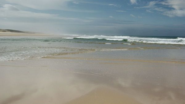 Cap Ferret : un corps en état de décomposition retrouvé sur la plage