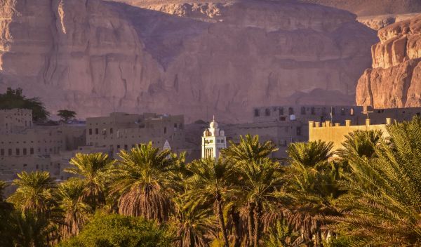 De l'ambivalence des relations entre les Émirats Arabes Unis et l'Arabie Saoudite à propos de la Guerre du Yémen