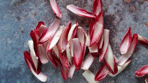 Voici les 5 bienfaits méconnus de l'endive