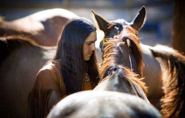 Une étude donne un coup de sabot dans l'histoire officielle du cheval des plaines américaines