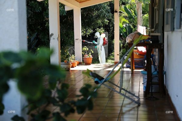 Dengue : huit nouveaux cas enregistrés entre le 6 et le 19 mars à La Réunion