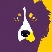 Pourquoi mon Chien me Lèche les pieds ?