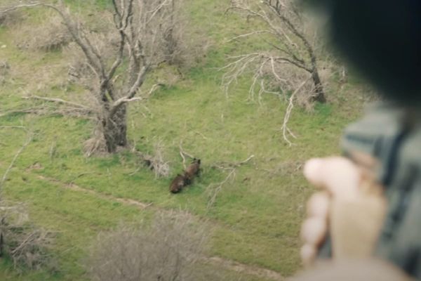 Vidéo: Un français chasse le sanglier en hélicoptère et au fusil d’assaut!