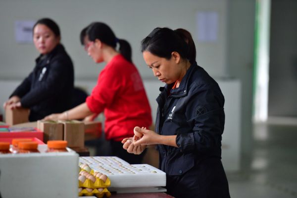 Le commerce ext�rieur de produits agricoles de la Chine en hausse de 11,5% au premier trimestre
