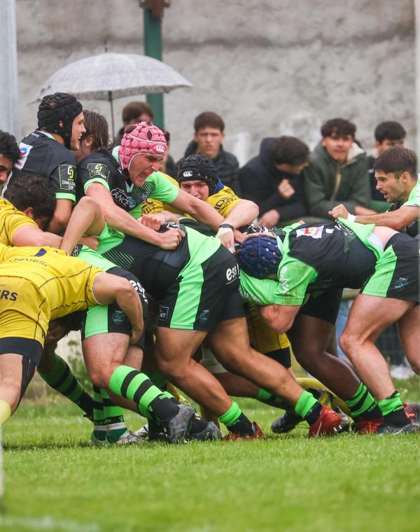 Rugby : les résultats du week-end en Béarn et Soule