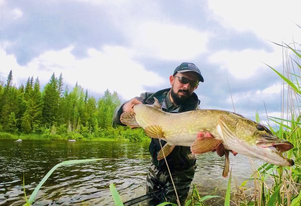 Trois modèles de streamers suffisent pour l'ouverture brochet