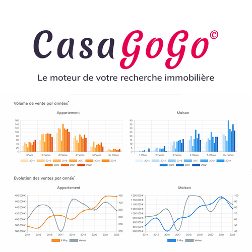Satistiques des Ventes Immobilières de 2014 à 2023