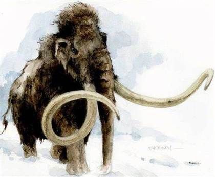 Le mammouth et l'homme de la préhistoire