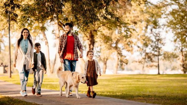Même 4 000 Pas par Jour : Découvrez Comment cette Routine Simple Peut Booster votre Santé