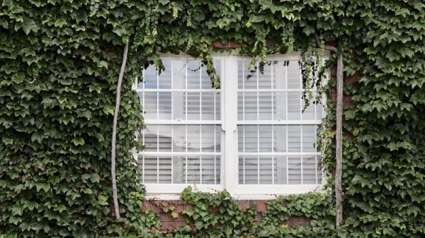 Mises en cabane ou jalousies estivales : architecture de l'ombre ?