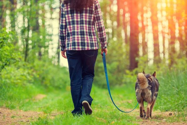 Avoir un chien : la peur de l’échec dans le monde canin