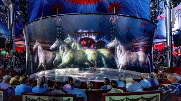 Les animaux de ce cirque ont été remplacés par... des hologrammes