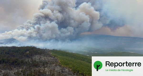 Après le choc des incendies, les petits Canadiens de retour à l'école