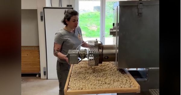 VIDÉO. Du champ à la vente, elle fabrique des pâtes de A à Z avec son père