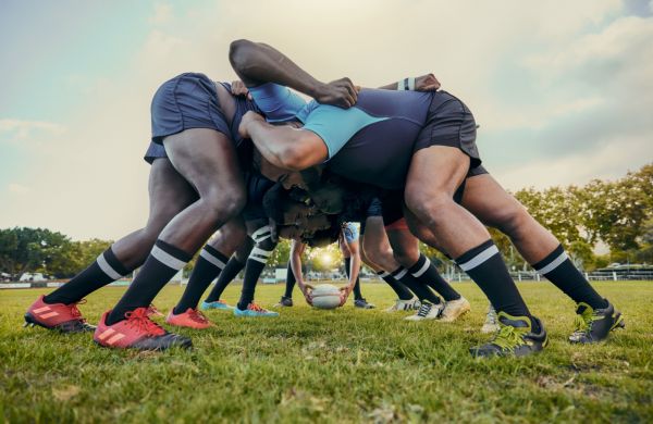 Coupe du monde de rugby 2023 : l’économie française déjà gagnante