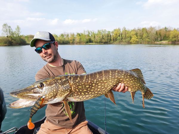 La pêche du brochet en linéaire au leurre souple : quelques subtilités