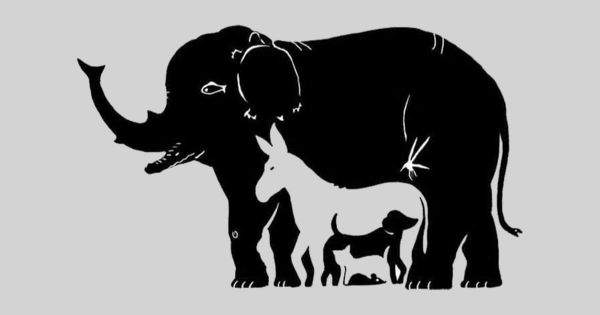 Combien d'animaux voyez-vous ?