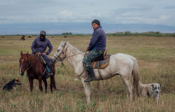 Le Kazakhstan, coincé entre l'ours russe et le dragon chinois