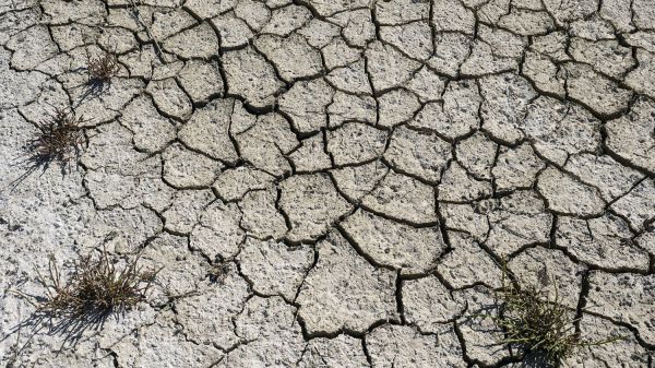 Climat : le monde est sur une trajectoire de réchauffement de 2,5°C à 2,9°C, alerte l'ONU