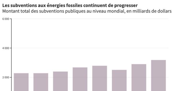 Subventions publiques : l'autre caisse des énergies fossiles