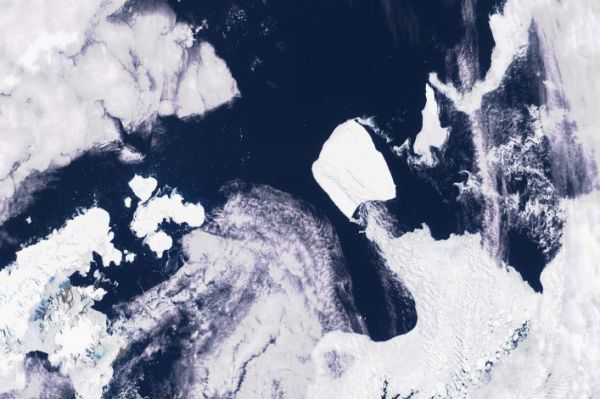 A23a : le plus grand iceberg du monde se déplace après 30 ans sans mouvement