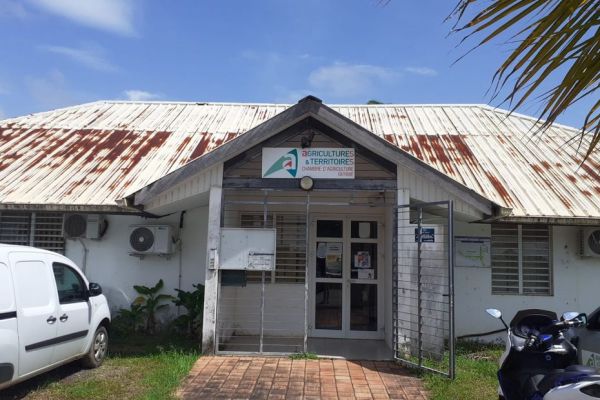 La SAFER de Guyane reçoit l'agrément des Ministères de l'Agriculture, des Finances et des Outre-mer