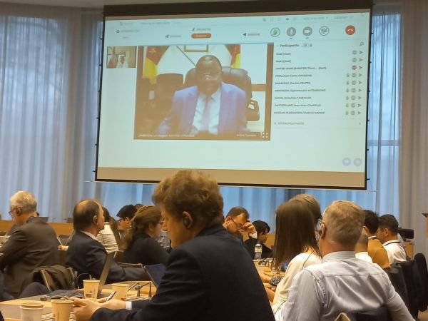 Préparation de la 13è conférence ministérielle de l’OMC : le Cameroun représente l’Afrique