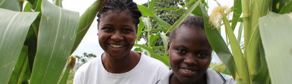 Cameroun-Proceffa :  les acteurs clés tablent les défis de l’insertion socio-professionnelle des jeunes
