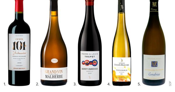 Vins : Notre sélection de cuvées en biodynamie