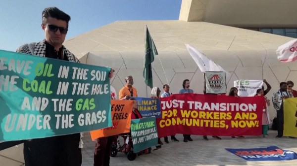 COP 28 : des militants manifestent à Dubaï