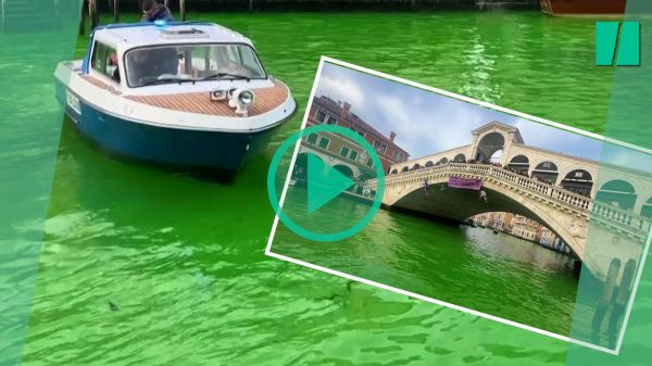 Pour dénoncer la COP28, Extinction Rebellion colore le Grand canal de Venise en vert fluo