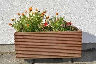 10 conseils pour faire du jardinage en bac