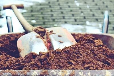 Comment protéger son jardin de la sécheresse ?