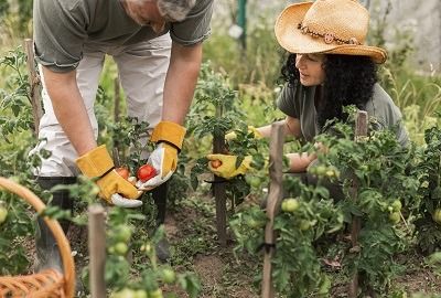 Le Jardinage et la Permaculture : Un Tournant Majeur dans la Pratique du Survivalisme
