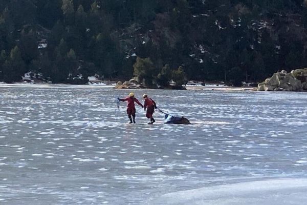 Pyrénées-Orientales : Les sapeurs-pompiers sauvent une biche prise au piège d’un lac gelé