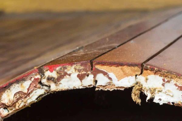 Parquet gonflé, que faire s’il se soulève : la solution est plus simple que vous ne le pensez