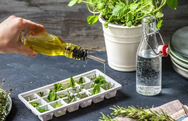 Comment congeler du persil frais et d'autres herbes ? Nos méthodes simples