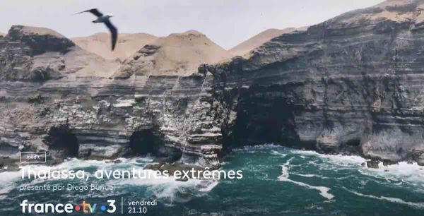 Thalassa de retour ce soir sur France 3 (sommaire 26 janvier 2024)