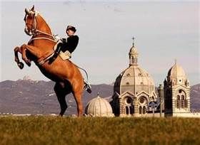 Le Cadre Noir de Saumur, l'équitation à la française