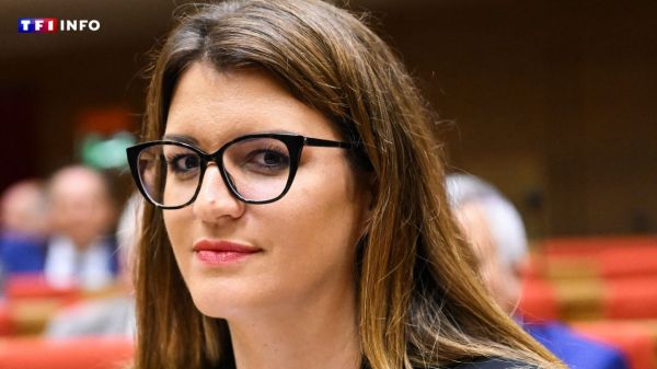 Marlène Schiappa se met à la new romance : c'est quoi ce genre littéraire qui cartonne ? | TF1 INFO