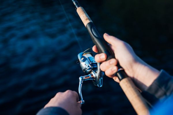 Surveillez votre coin de pêche avec les pièges photographiques